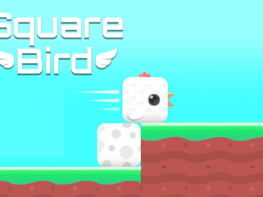 Square Bird